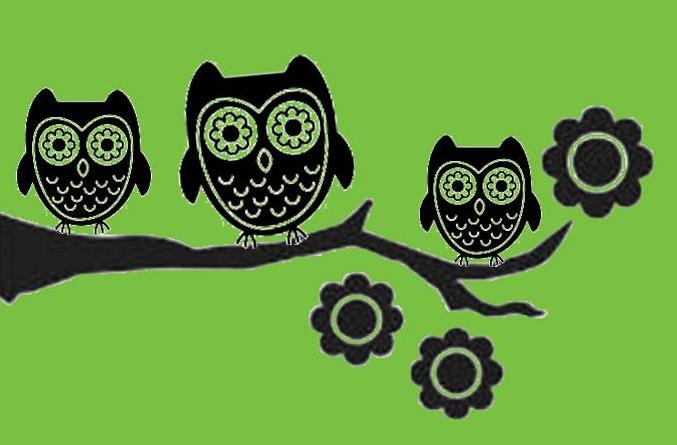 owls-on-branch-green